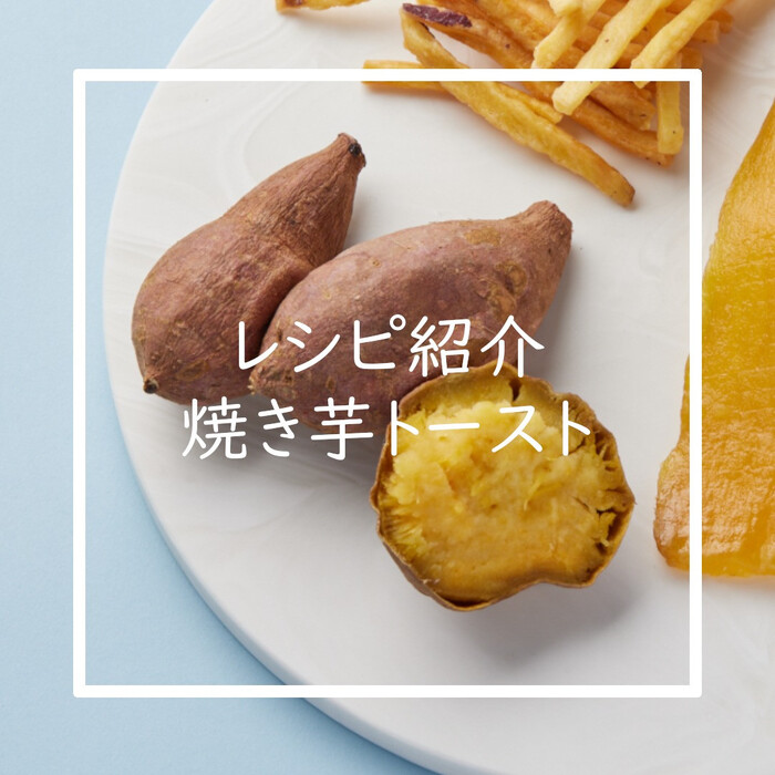 画像365